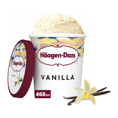 Häagen-Dazs Vanilla 460ml