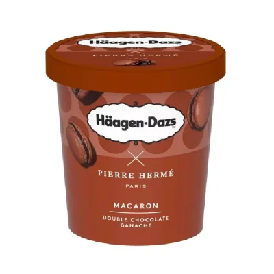 Häagen-Dazs Macaron Double Chocolate Ganache 420ml