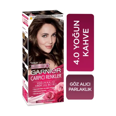 Garnier Color Sensation Hair Color 4.0