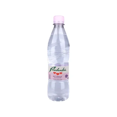 Uje natyral Radenska 0.5L