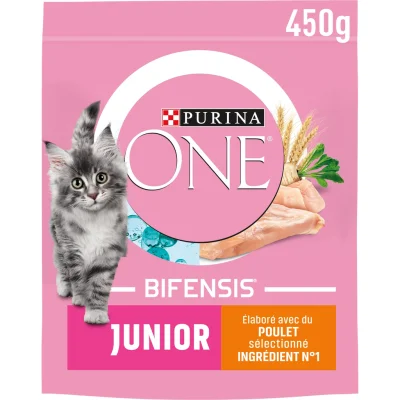 PURINA ONE Kitten Chicken and Whole Grains Dry Food 450 g