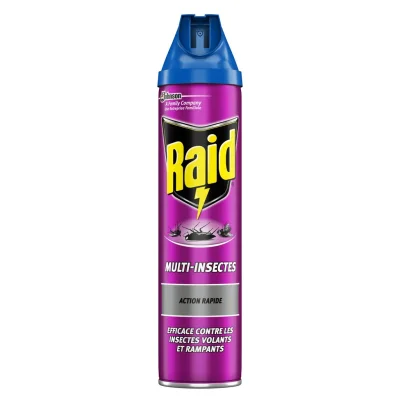 RAID Anti-Insecte Volants Et Rampants Action Rapide 600 ml