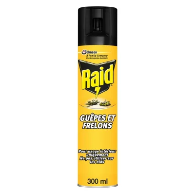 RAID Wasp and Hornet Insecticide Aerosol 300 ml