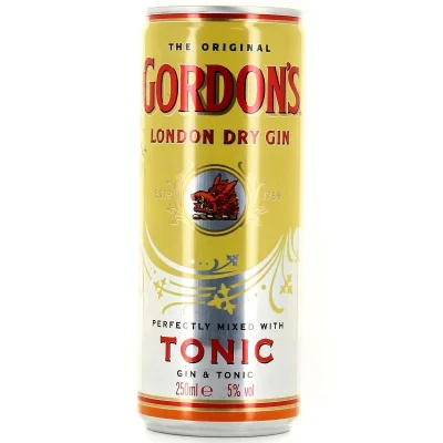 GORDON'S Gin Tonic Can 25 cl