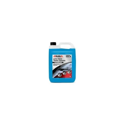 HOLTS Liquid 5 L