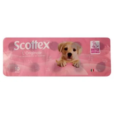 Scottex Carta Igienica Classica 10 Rotoli