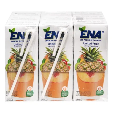 ENA United Fruit nectar 8 FRUITS 9x250ml