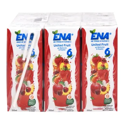 ENA United Fruit nectar 6 FRUITS 9x250ml