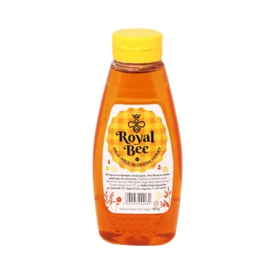 honey - ROYAL BEE blossom honey squeezy 480g