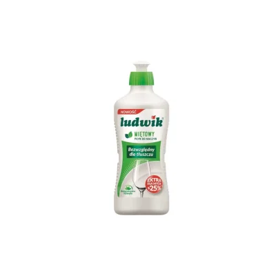 Ludwik Dishwashing Liquid Mint 450g