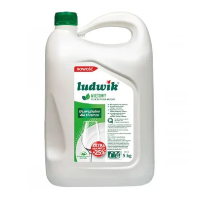 Ludwik Dishwashing Liquid Mint 5l