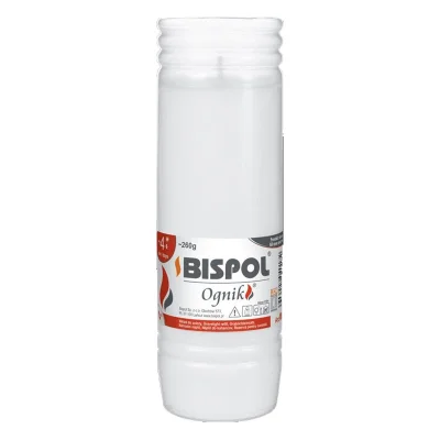 OGNIK WP-4 4D 0172 CANDLE INSERT