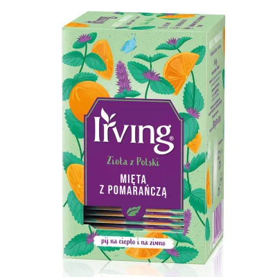 Green Tea Mint & Orange 20 Bags
