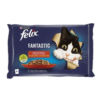 Felix NESTLÉ FELIX AGAIL GiJ MV Ctrysd 12(4x85g)X2