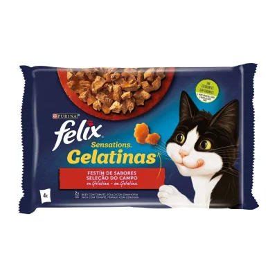 Felix Sensations Meat Selection in Jelly Wet Cat Food 4x85g