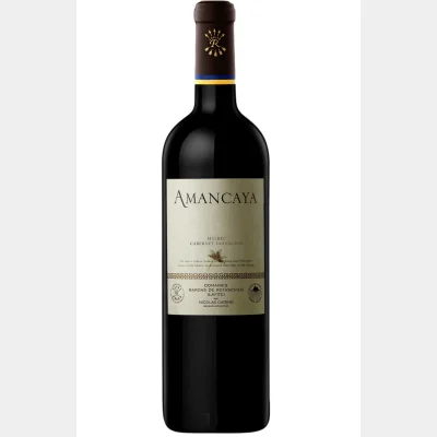 Bodegas Caro - Amancaya Domaines Barons De Rothschild, Argentina 2021 75cl