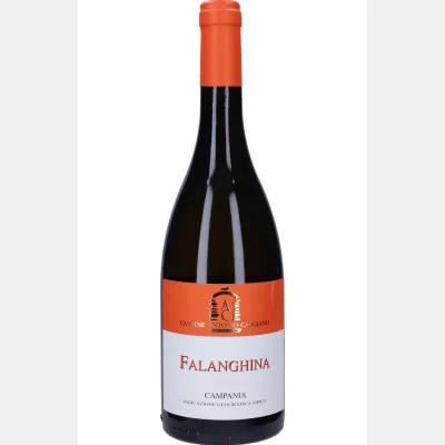 Antonio Caggiano - Falanghina Campania 2024 75cl