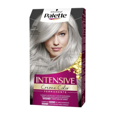 Schwarzkopf Palette Intensive Creme Color Tint U71 Frosty Silver