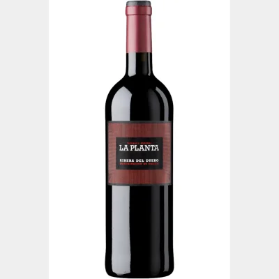 Bodegas Arzuaga - La Planta Ribera Del Duero 14% 75cl