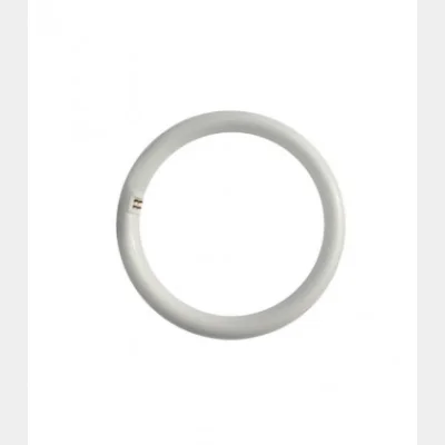 ETRON ETK ΛΑΜΠΑ ΣΤΡΟΓΓΥΛΗ ΦΘΟΡΙΟΥ Τ9 32w G10q (303033mm) ΨΥΧΡΟ Χ 20