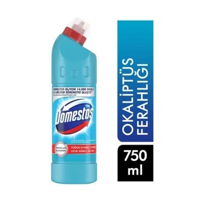Domestos Disinfectant Eucalyptus Fresh 750ml