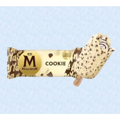 Magnum Biskote 95mL