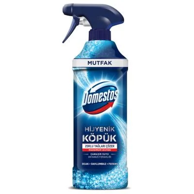 Domestos Hygienic Foam Ocean Refreshment  450 ml