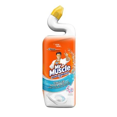 Mr. Muscle Toilet Cleaner  Spring Freshness   750 ml