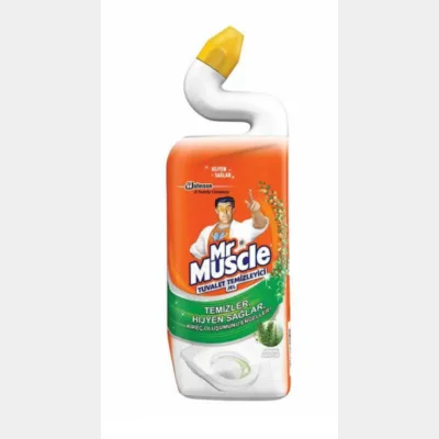 Mr. Muscle Toilet Cleaner  Forest Breeze  750 ml