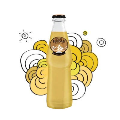 Uludağ Soda Legend Ginger  250 ml
