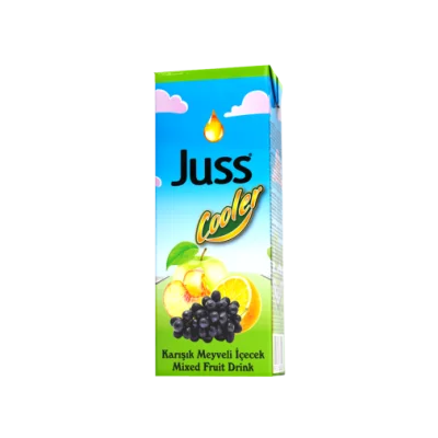 Juss Cooler Assorted Fruit Drink 200 ml