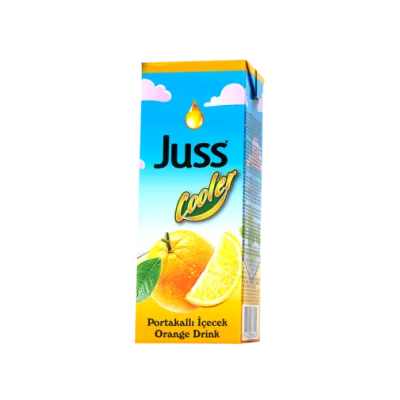 Juss Cooler Orange Drink 200 ml