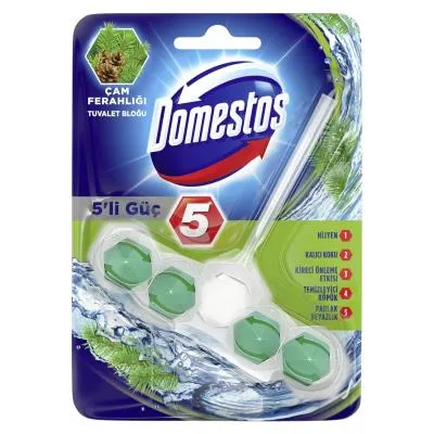 Domestos 5-Way Power Pine Freshness 55 gr