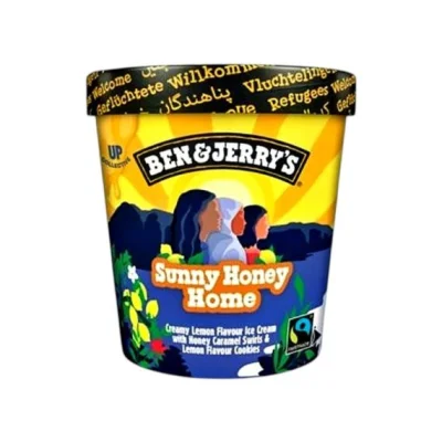 Ben & Jerry Sunny Honey Home 465mL